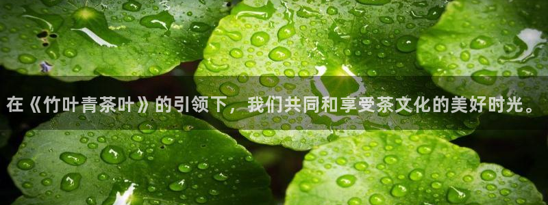 鸿运在线平台